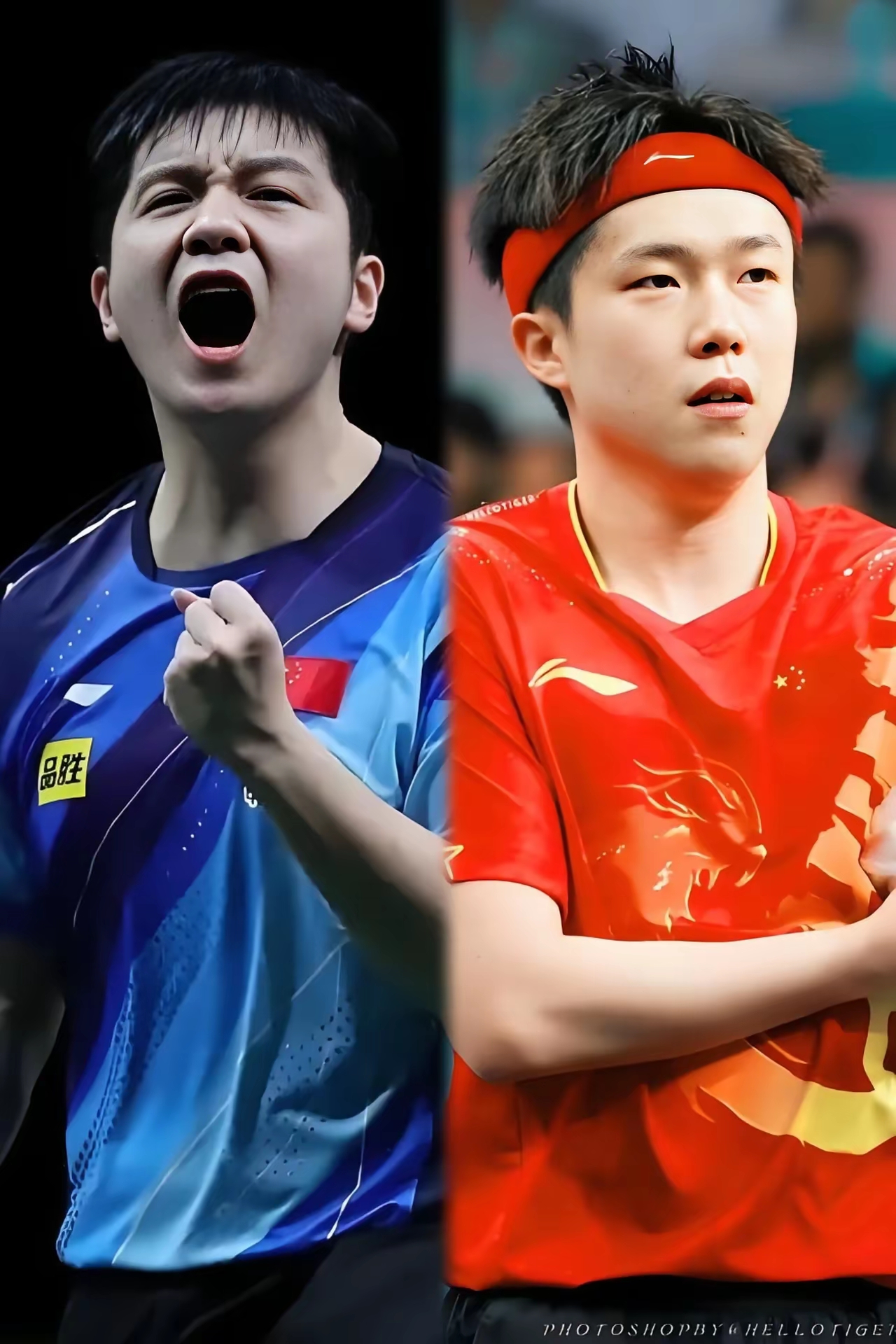 葡萄牙队完胜韩国队,樊振东状态火热 葡萄牙队完胜韩国队,樊振东状态火热