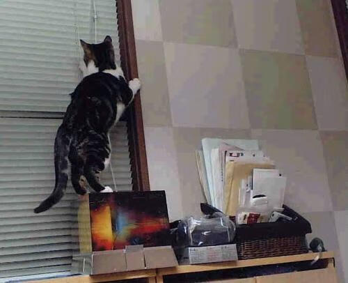 英格兰之围,尤文鏖战记与C罗的神祇黄昏