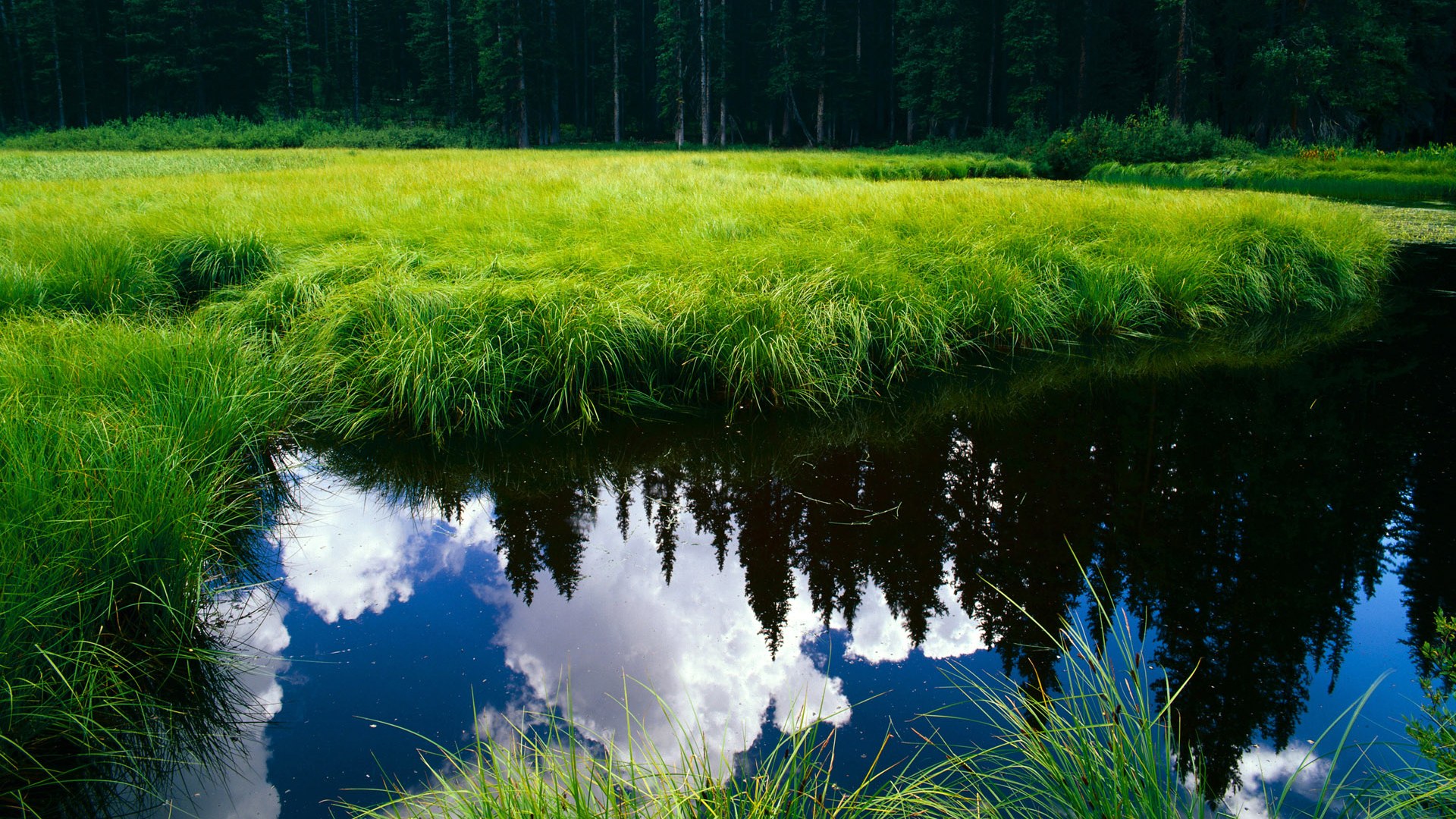 当阿尔卑斯山鹰掠过斯坦福桥,门迪如何用双手封印了蓝色巨人的咆哮