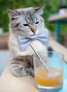 体育史上的震撼日，英格兰队横扫法国队，张本智和刷新纪录