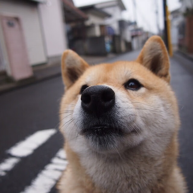 星际巡航与桑巴舞步，厄德高第91分钟绝杀，曼城跨界战压哨终结巴西神话