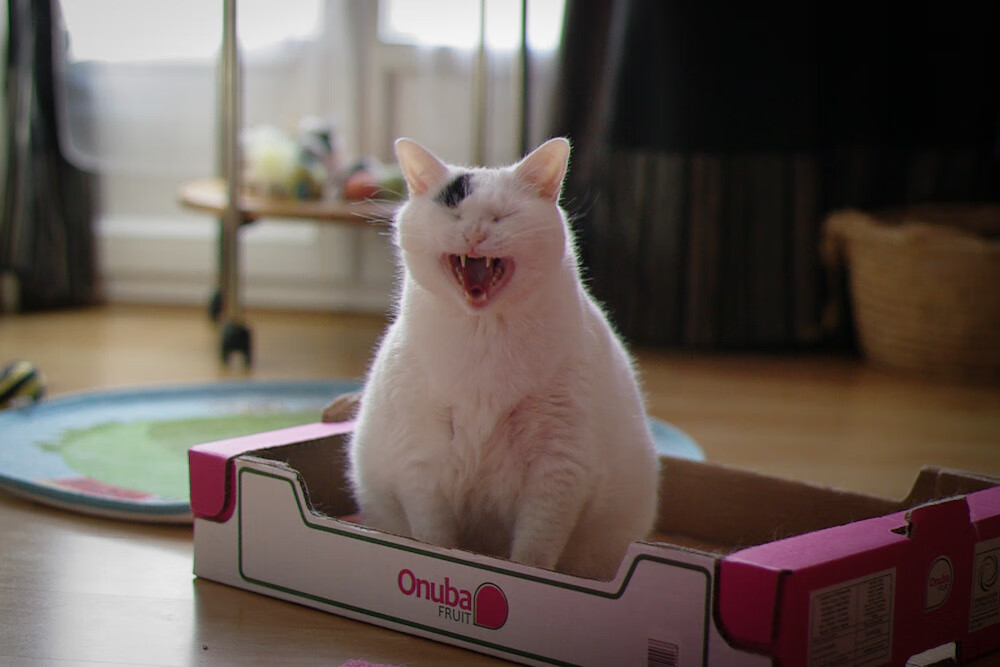 友谊赛中的里程碑,久保建英在乌拉圭与巴黎的特别对决中闪耀