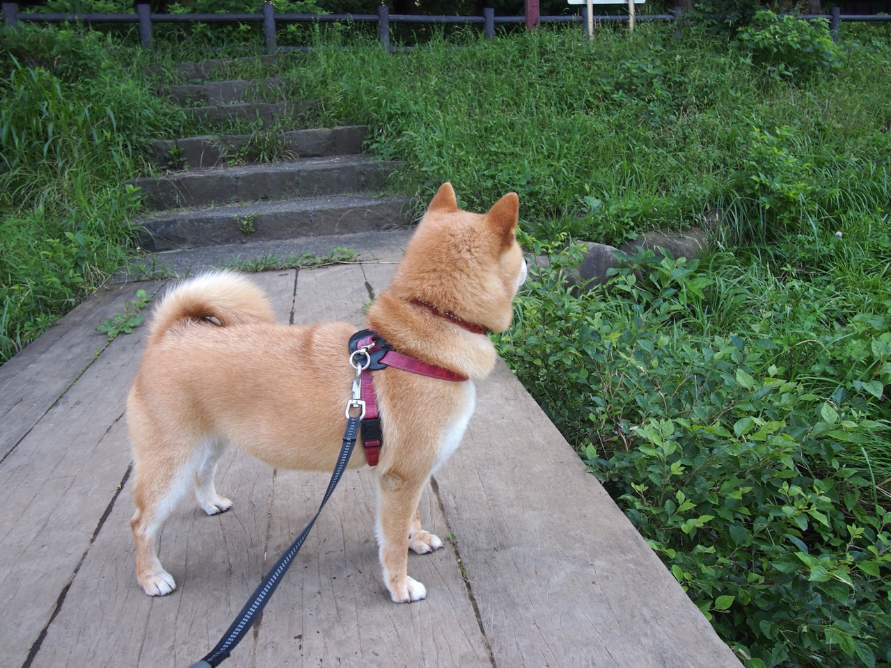 冰与火的淬炼，克莱单节8记三分上演乾坤倒转，新疆一节打懵上海