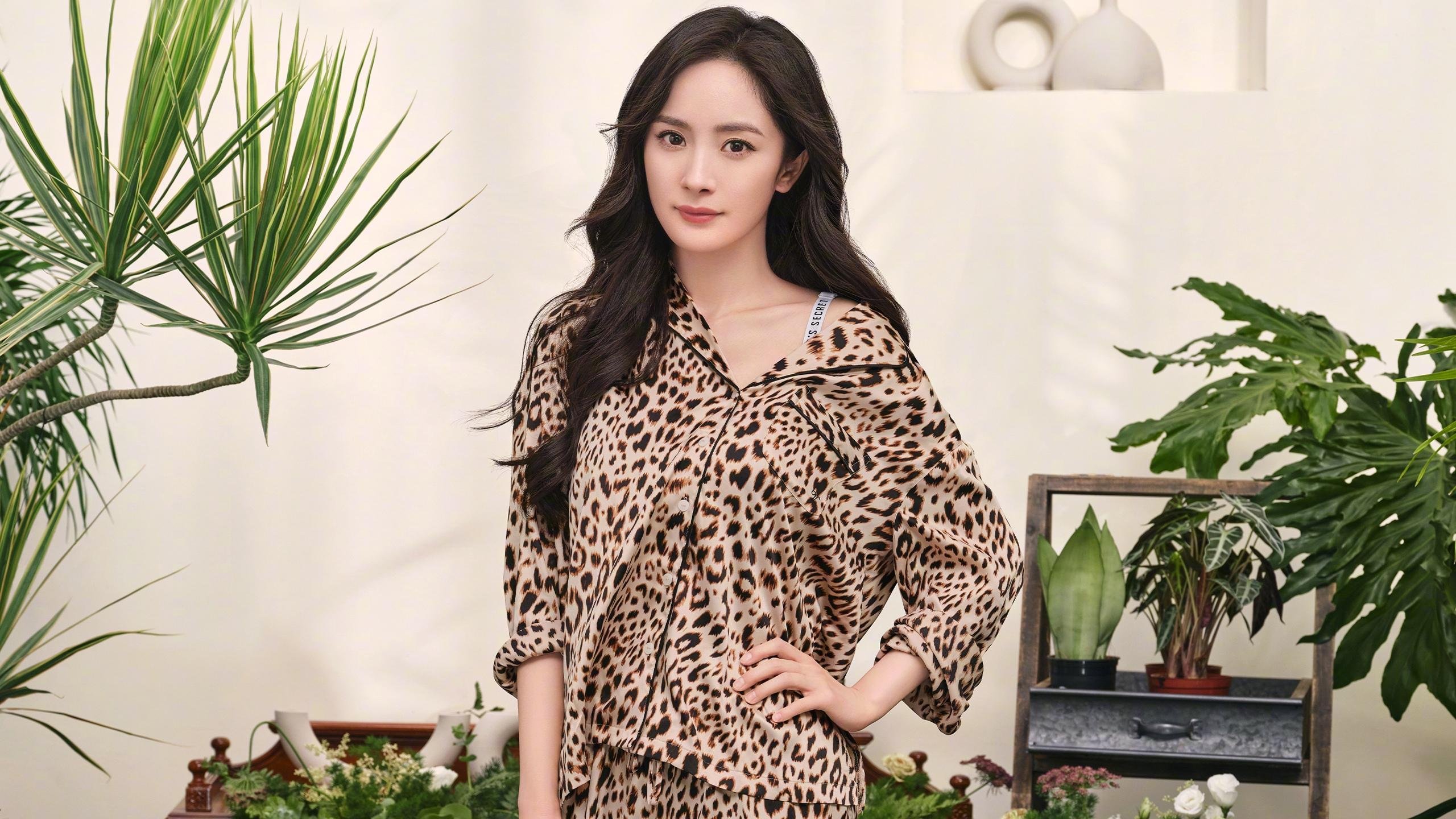 赛道与绿茵的交响,伊布在F1争冠夜的王者宣言