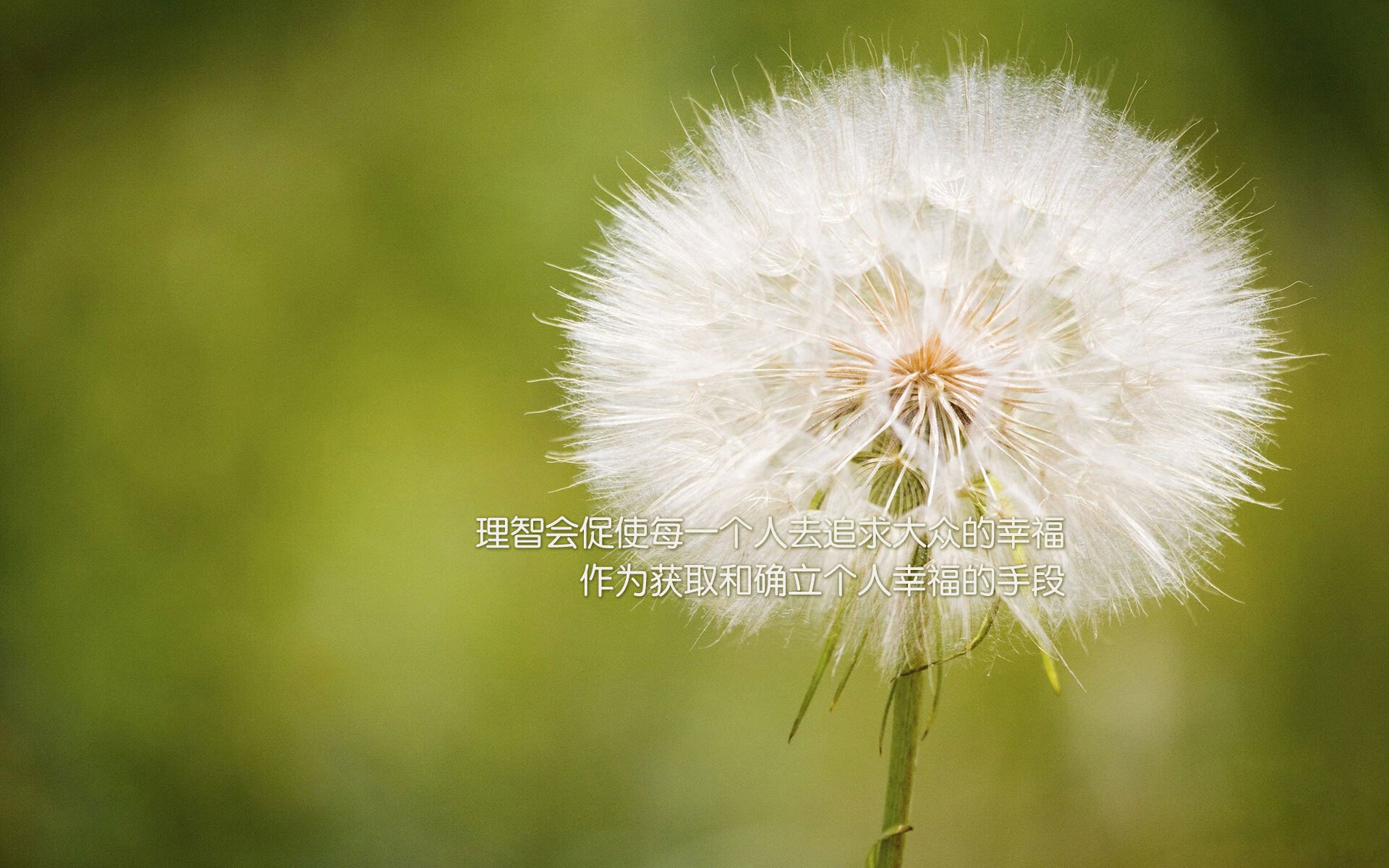 基米希一锤定音!曼城总比分4-2淘汰摩纳哥晋级八强