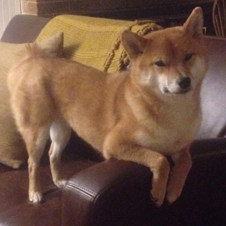 欧冠镇魂曲，基耶萨的压制级独舞，与一整个战术体系的臣服