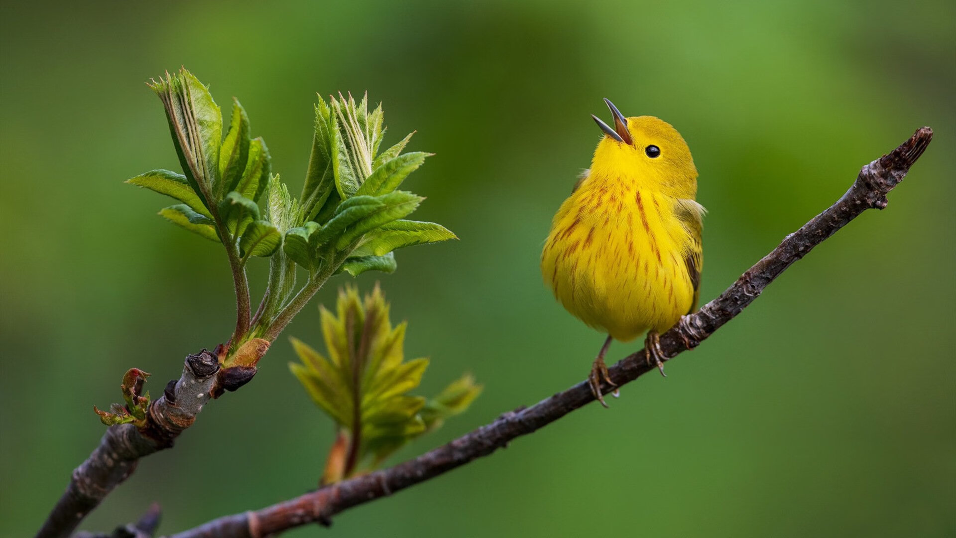 冲破三千米魔咒,一场用慢碾碎历史的重定义之战