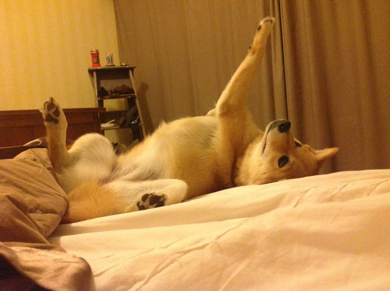 欧冠半决赛焦点战,76人轻取凯尔特人—一场时空错位的体育盛宴