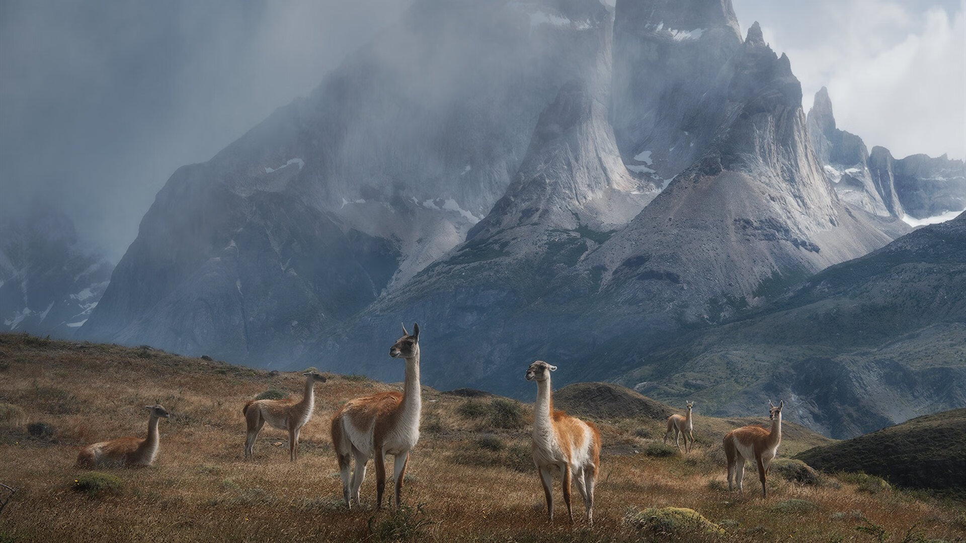 夜战迷宫,当切特在霓虹街道拉开不可逾越的秒差