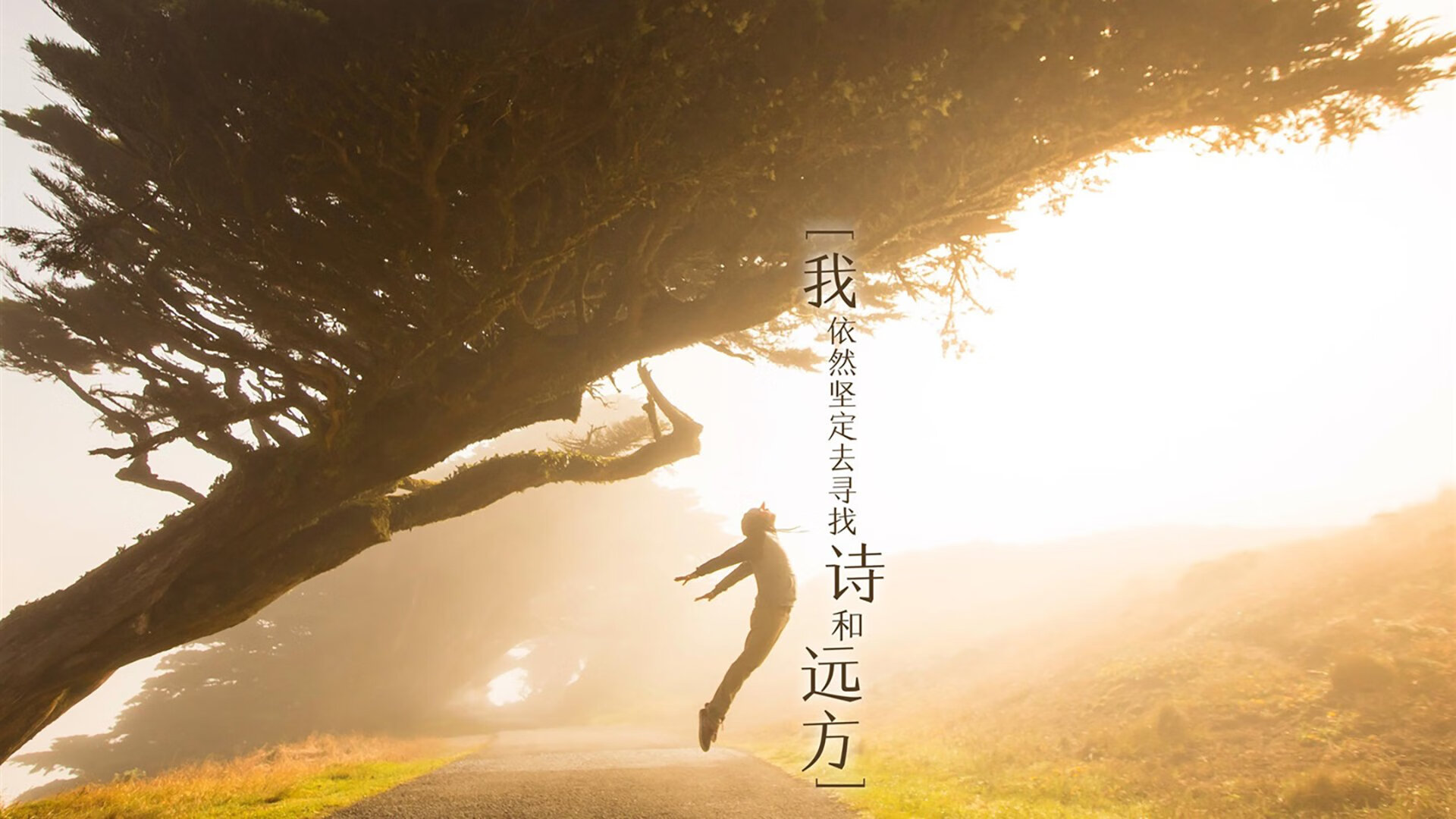 控场大师！范弗利特47分压哨三分绝杀鹈鹕，辽宁三加时鏖战险胜