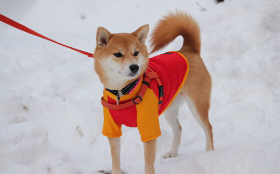 坎特化身中场风暴眼，巴拉圭式闪电战一波带走塞维利亚之谜