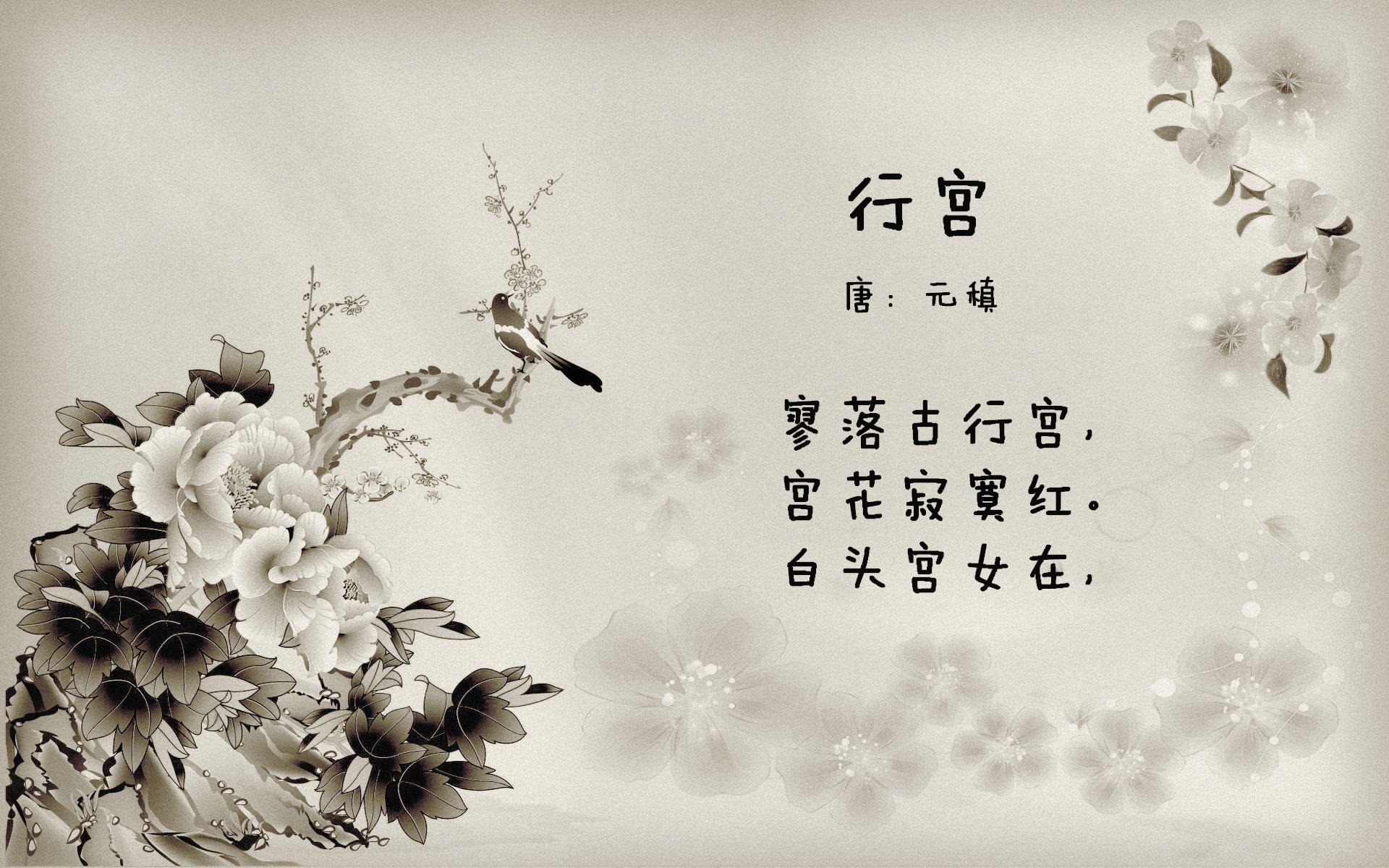 黑马奔腾,2026世界杯上,喀麦隆如何用快速反击撕碎秘鲁,凯恩闪耀全场