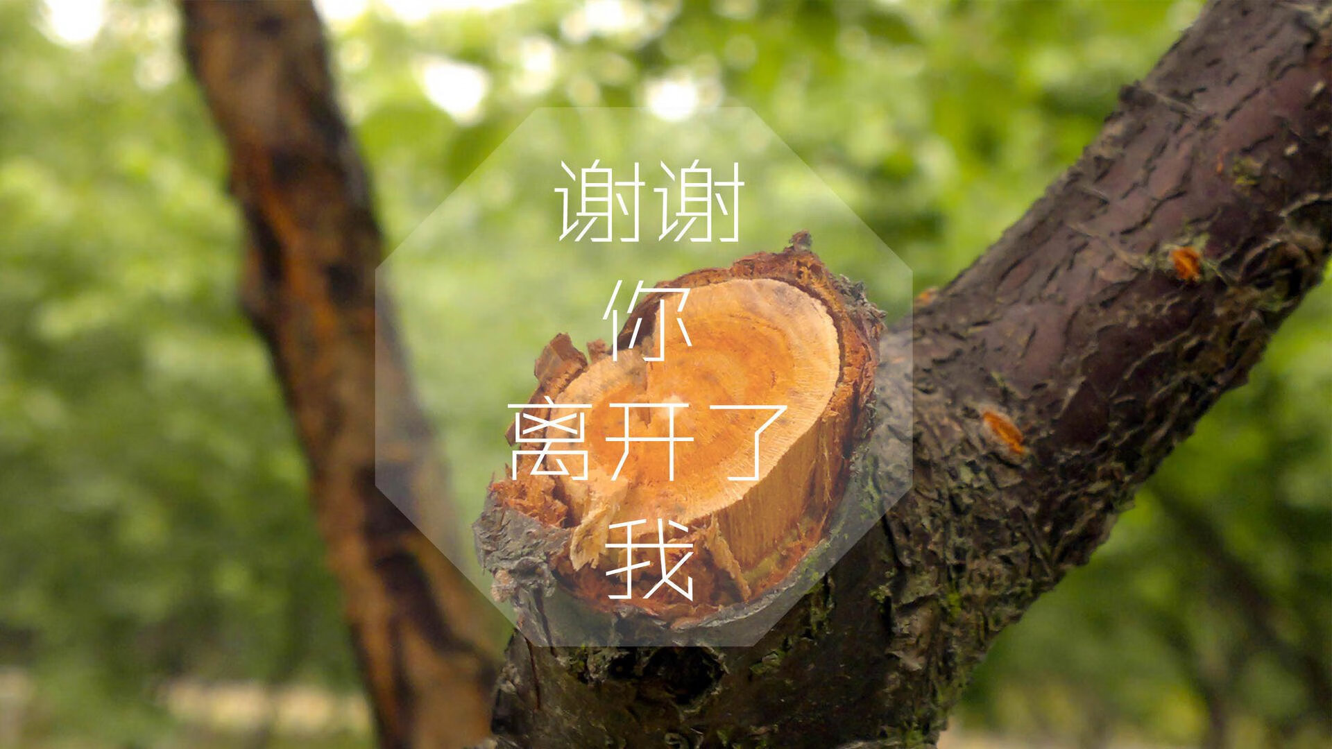 2026世界杯H组生死战，斯洛伐克绝杀伊朗，德容替补奇兵上演致命一击
