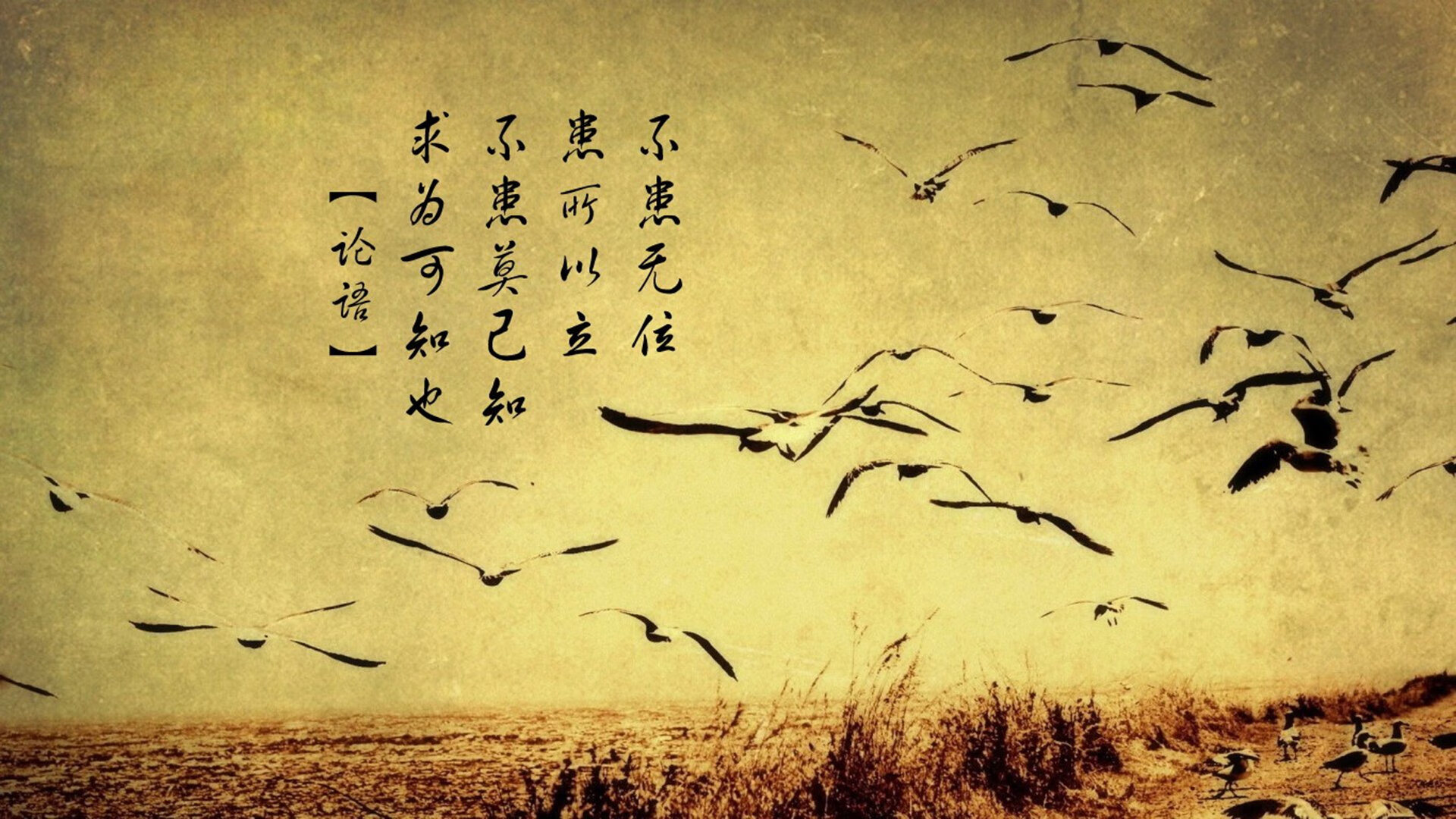 当沙漠吞噬桑巴，2026世界杯H组，伊朗完胜巴西背后的唯一性寓言